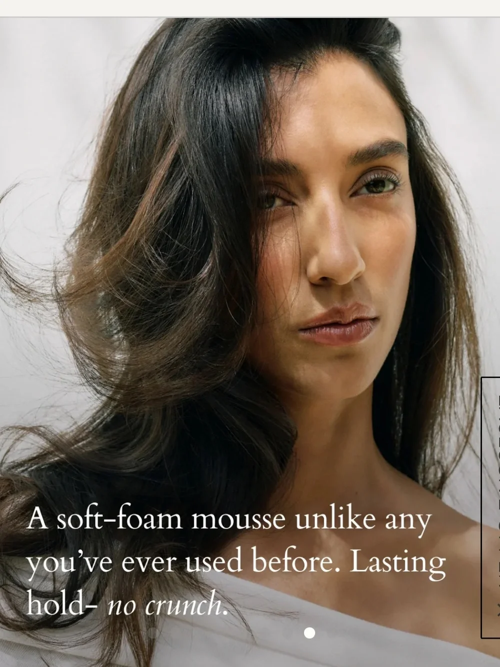 Nib Roz Milk Styling Mousse new launch $39 new